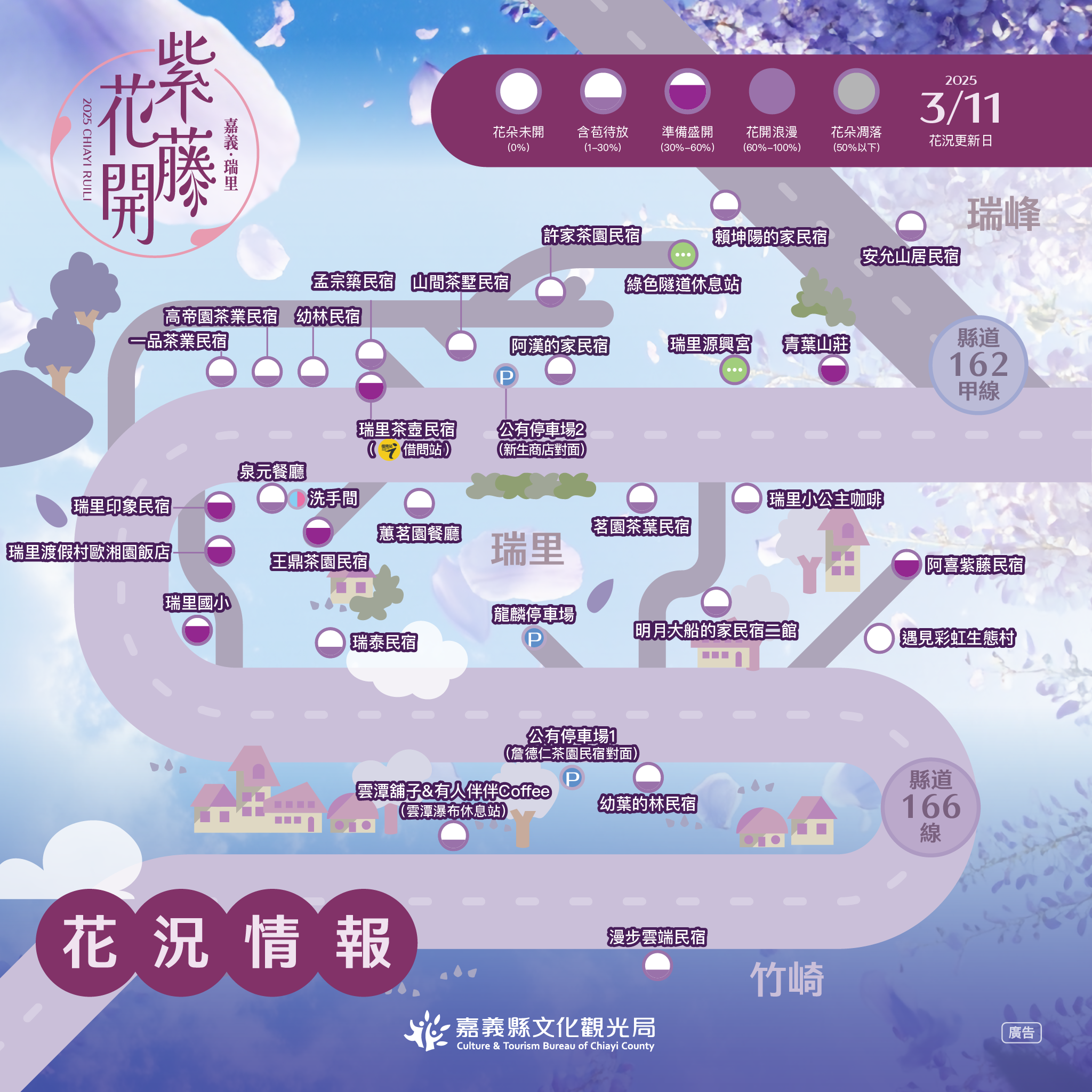 嘉義瑞里紫藤花季-花況情報