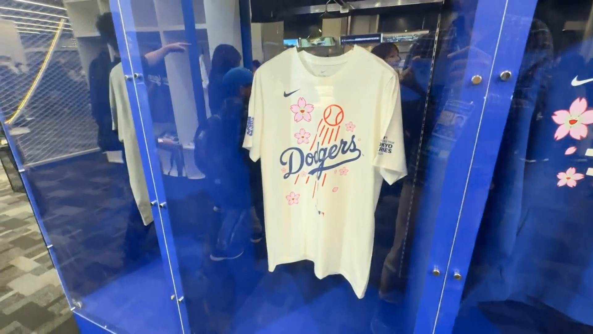 #1_Channel 3---2025_03_15---12_50_40---H264  8 bit---224---split006.mp4_snapshot_02.22.427