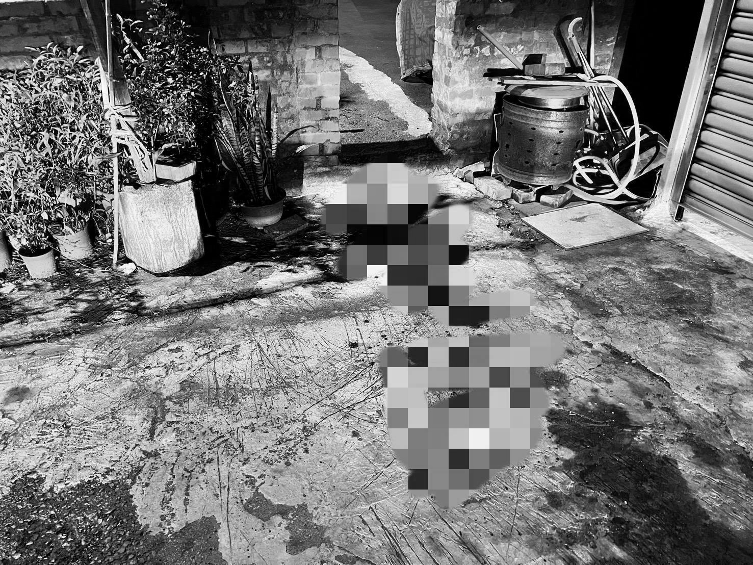 950154-fotor-202503219411