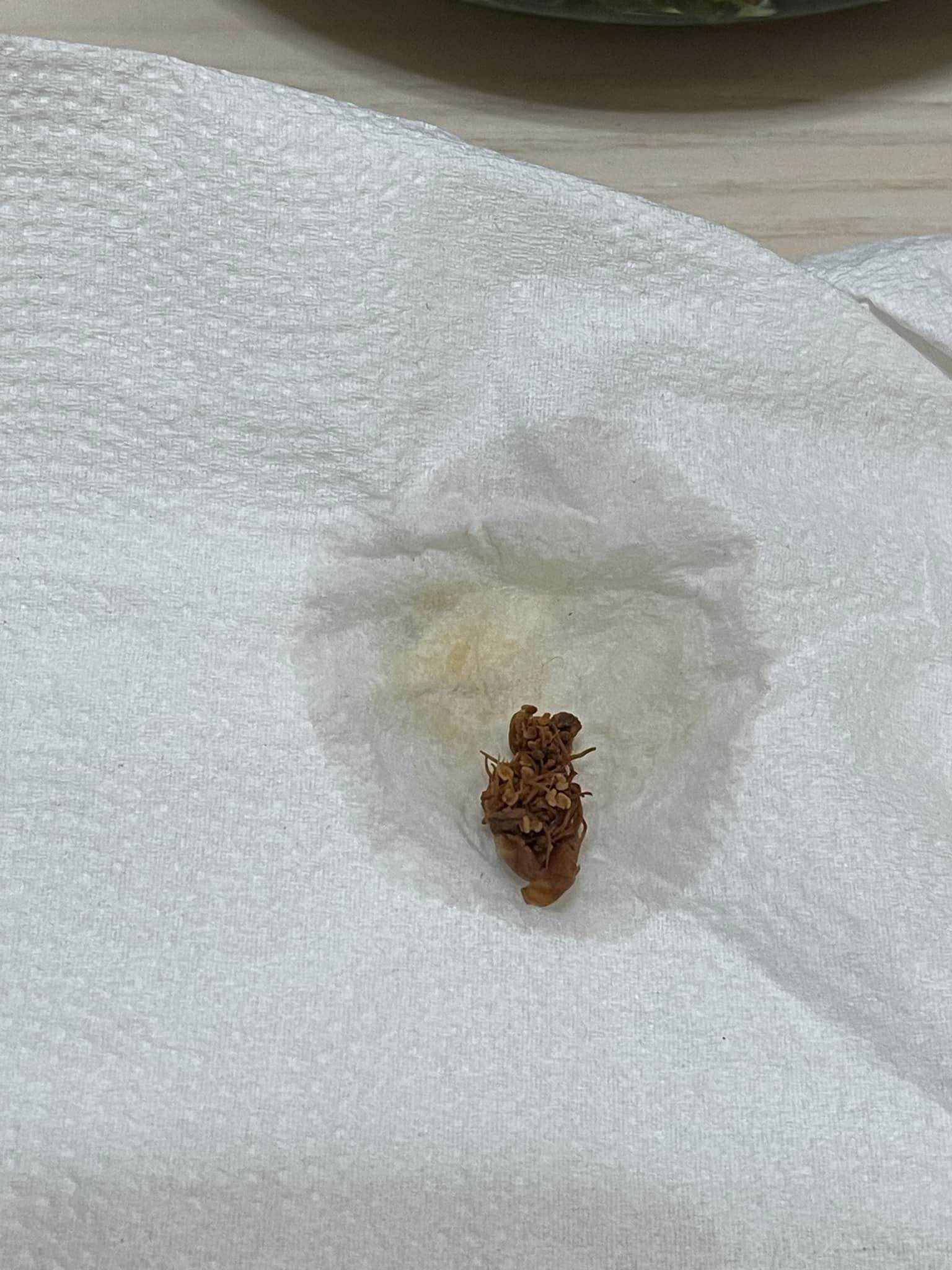 482985293_9510627039004622_3860803434634304279_n