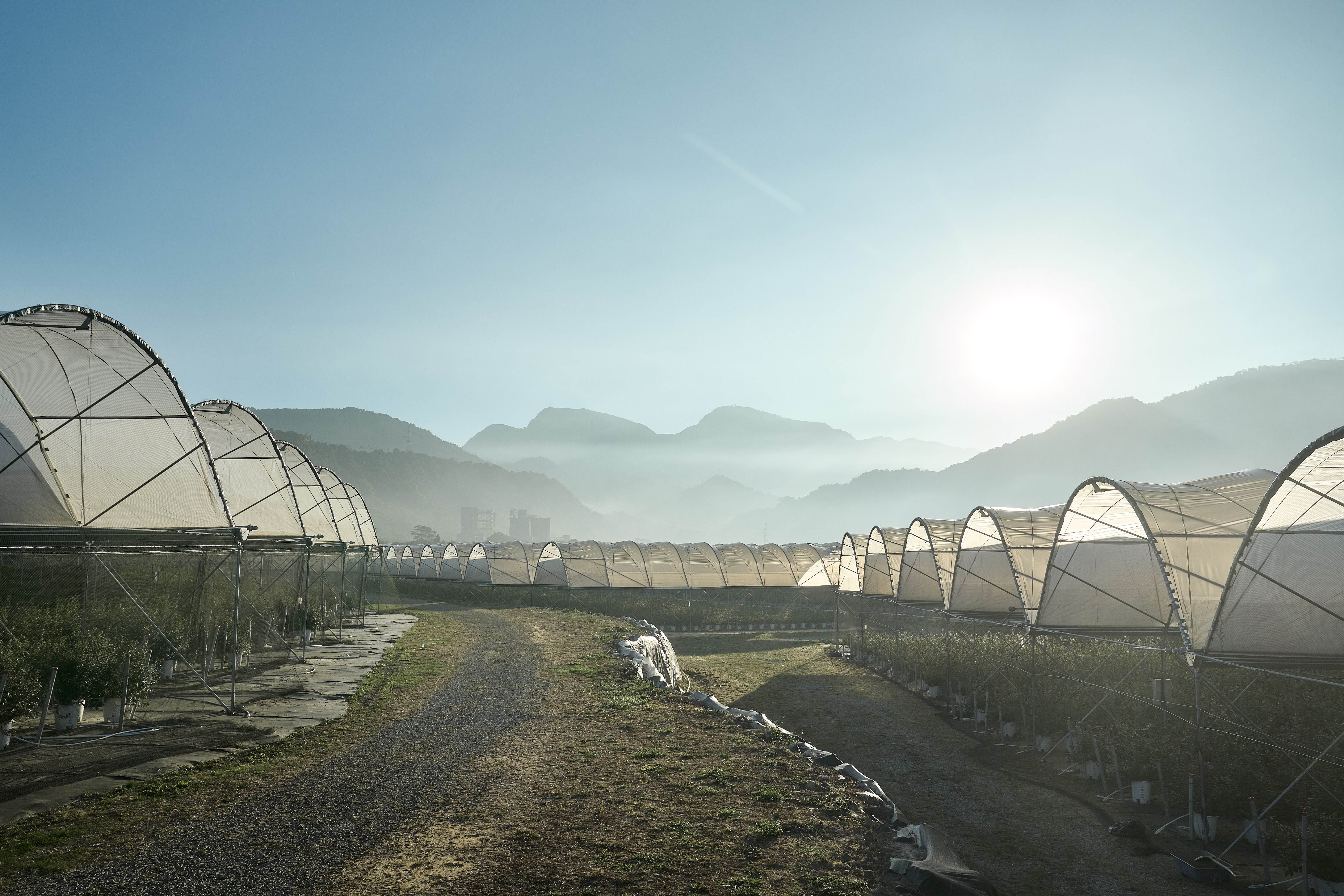 山丘藍藍莓農場位於阿里山下，八掌溪畔，擁有得天獨厚的天然環境。 （圖／山丘藍提供）