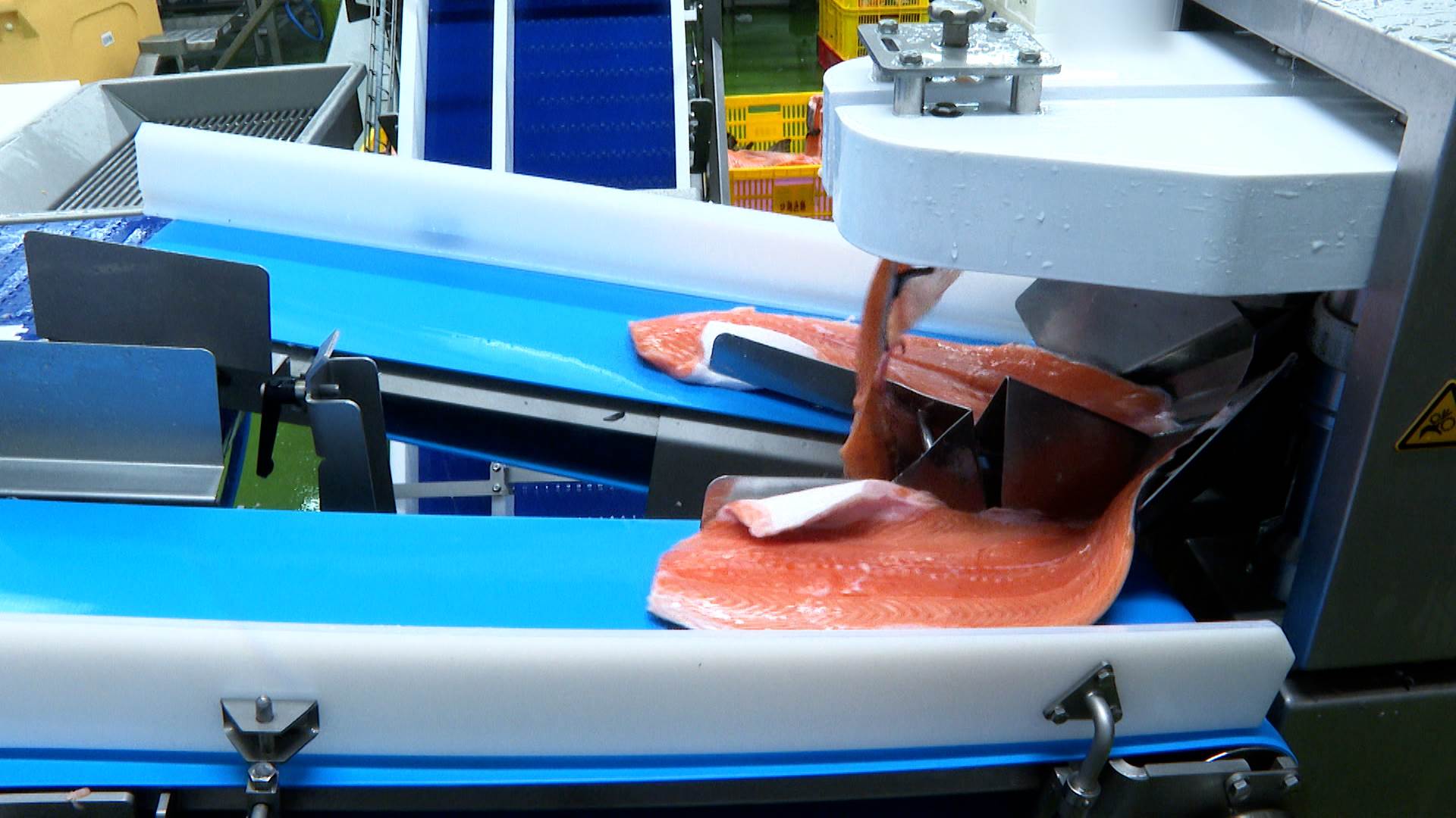 ▲ AI智能開片機智能分切，精細分切拆解，達到全魚利用。