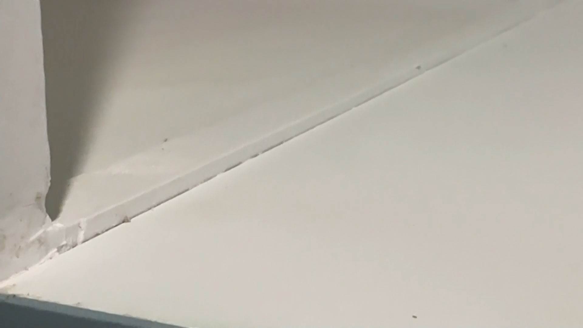 #1_Channel 3---2025_04_07---19_10_40---H264  8 bit---253---split032.mp4_snapshot_04.49.349