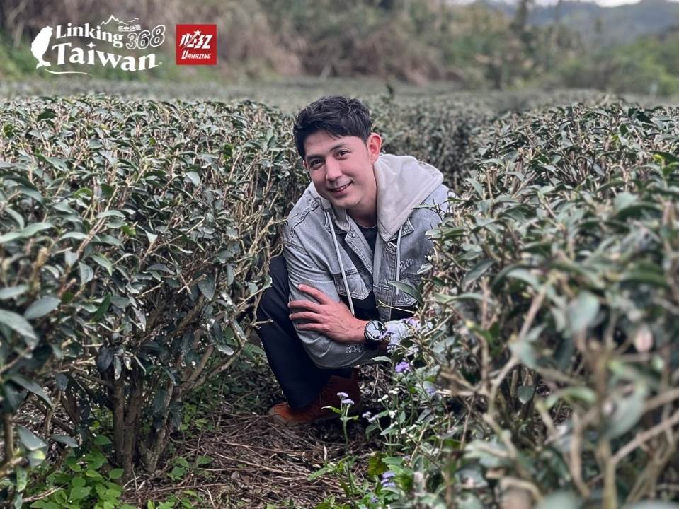 頭屋鄉曾是台灣的知名茶鄉，這裡的低丘陵地形、豐沛雨量和良好的排水性，讓茶樹在這片土地上茁壯成長。老田寮地區，曾與凍頂、名間、坪林並列為四大茶區之一，出產的老田寮茶更是當年受到蔣經國先生賜名的明德茶，風靡一時。（圖／《Linking 368 Taiwan 恁去台灣》提供）