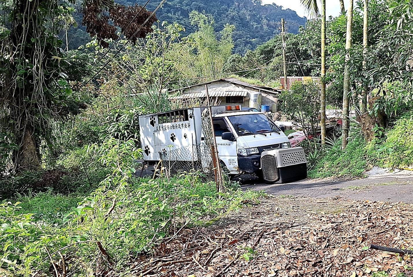動保處派員偕同警方至該址稽查飼養犬隻不當飼養之情事。