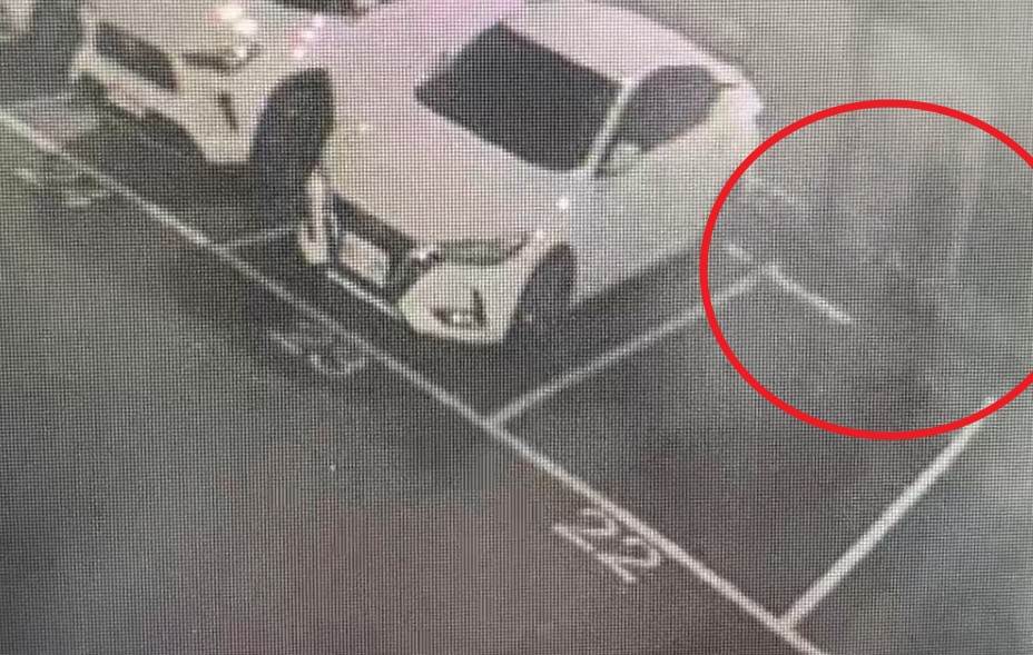 螢幕擷取畫面 2025-04-16 082112