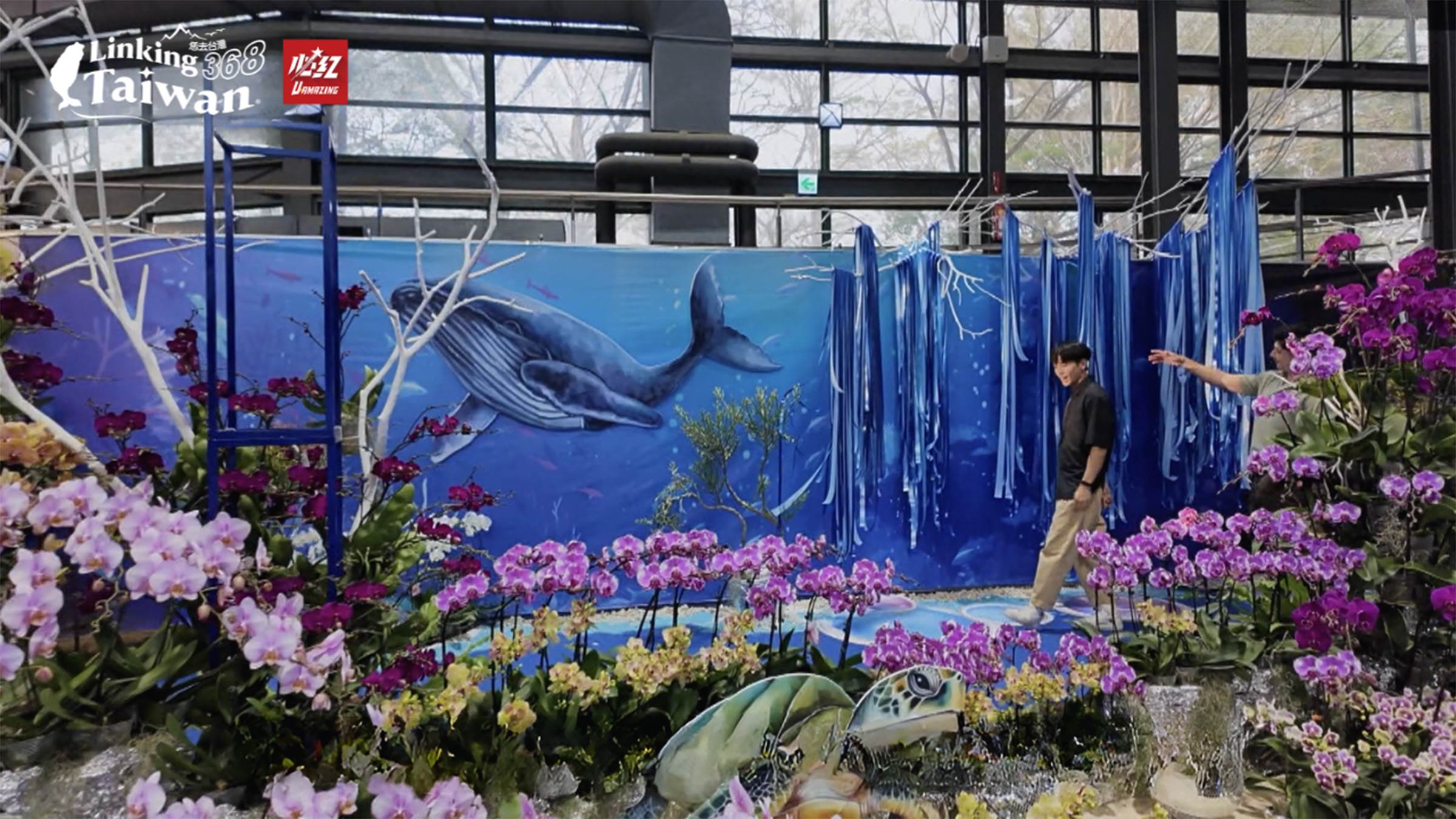 自2004年成立至今，這裡已成為全球最大的蘭花溫室產業聚落，花海綻放、香氣四溢，是世界三大蘭展之一的璀璨舞台！（圖／業者提供）