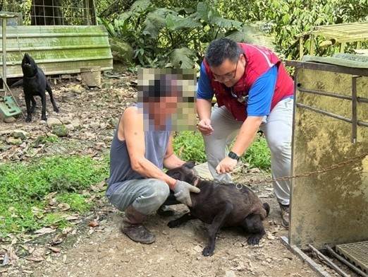 動保處人員現場為犬隻植入晶片_0_0