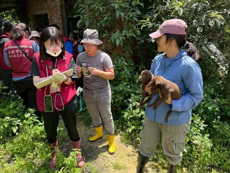協會協助現場查獲離乳幼犬_0_0