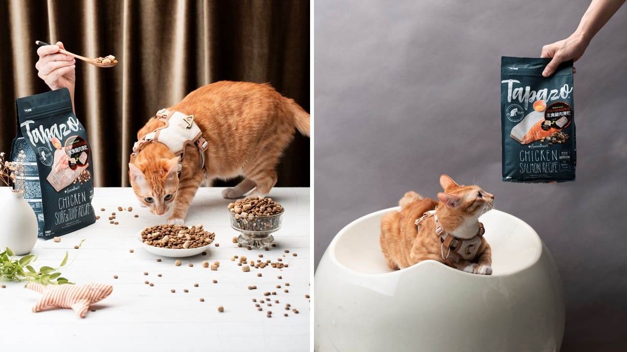 主食乾糧與凍乾的黃金搭配，連挑嘴毛孩也天天準時開飯。（圖／Tapazo特百滋）