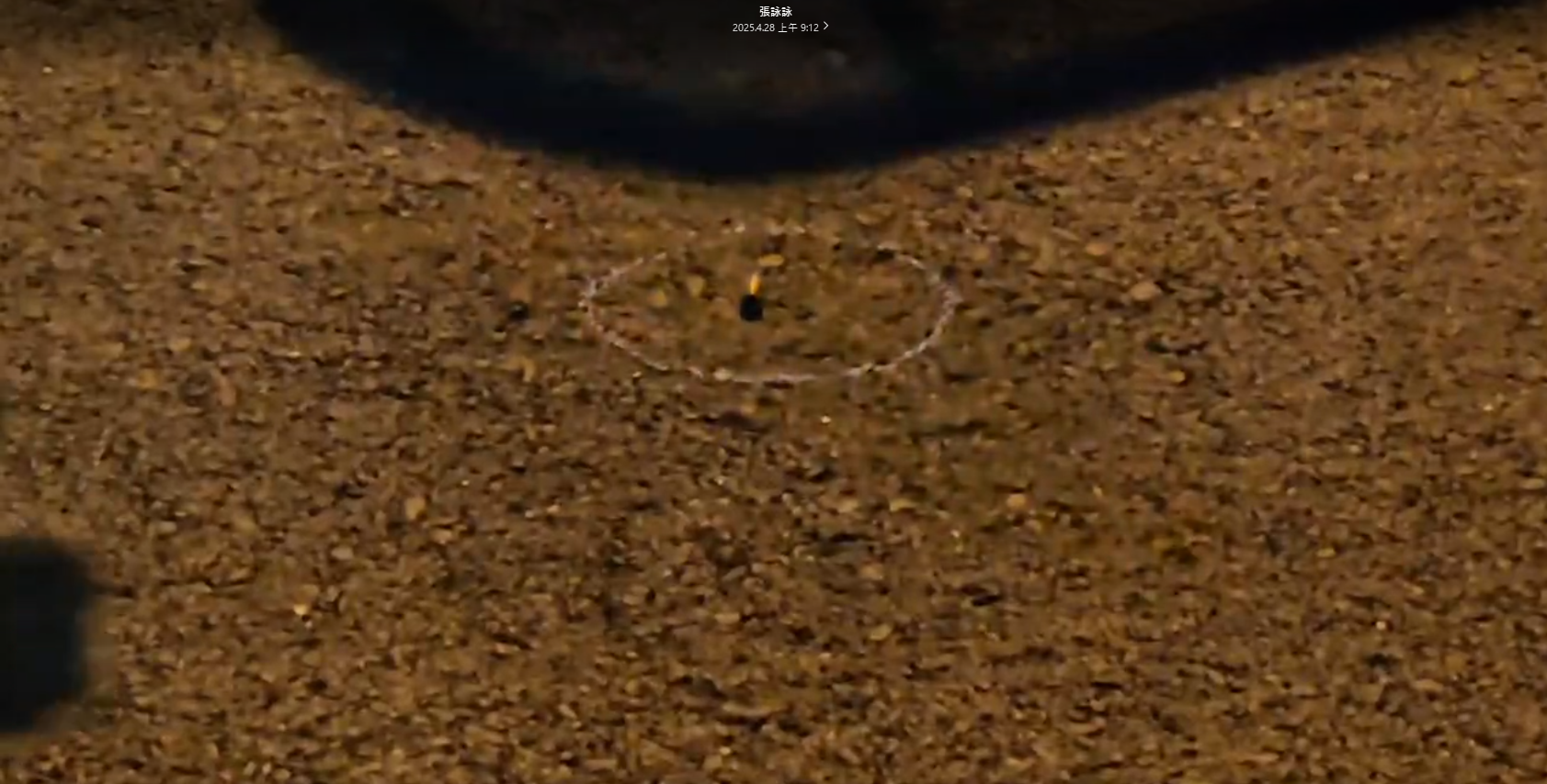 註解 2025-04-28 094520