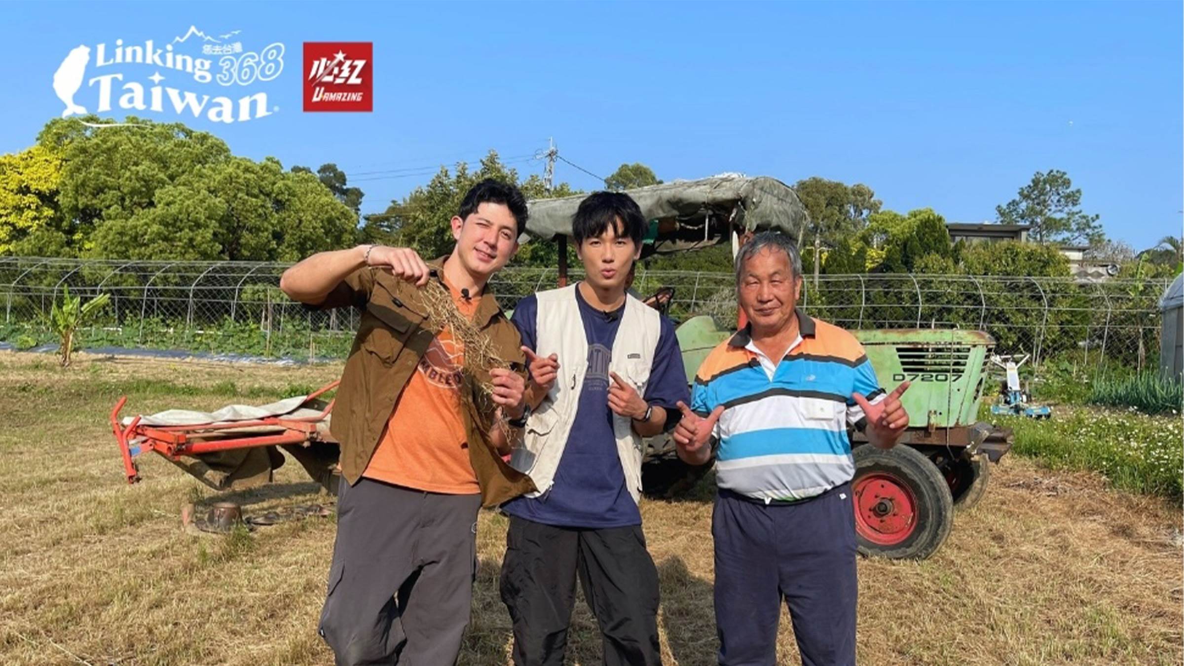 在這片綠意盎然的草原上，陳大哥介紹了牛兒們的主要食物——盤固拉草。這種草富含纖維和蛋白質，特別適合作為動物飼料，並且在這裡的氣候下生長得尤為茂盛。為了高效收割這片豐盛的牧草，陳大哥帶領大家體驗使用曳引機收割的過程。（圖／《恁去台灣》提供）