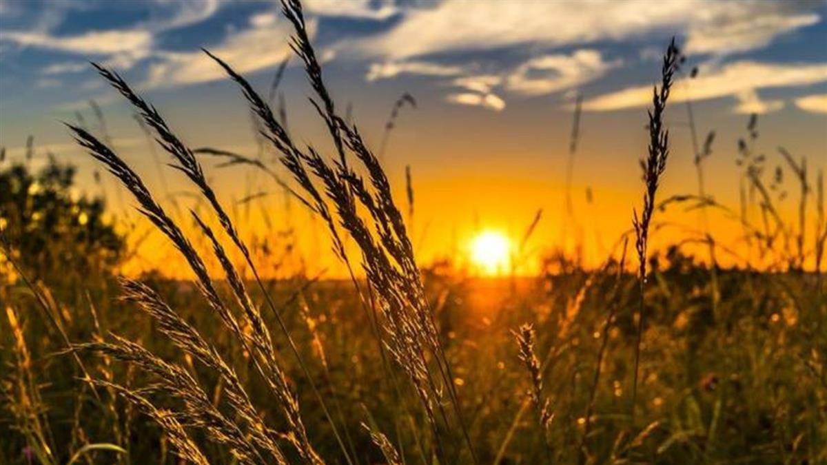 牛年出生的人將迎來事業上的突破，之前的努力將得到豐厚的回報。（示意圖／翻攝自pixabay）