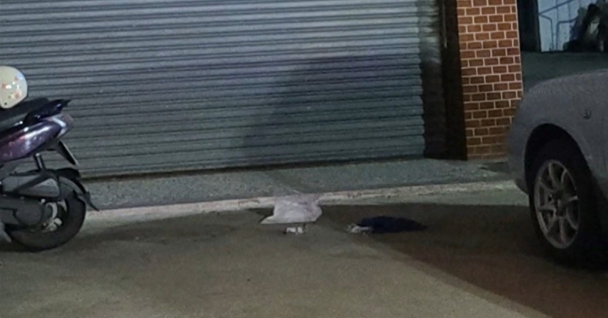 台南市新營區一對老夫少妻鬧出傷人意外。（圖／東森新聞）