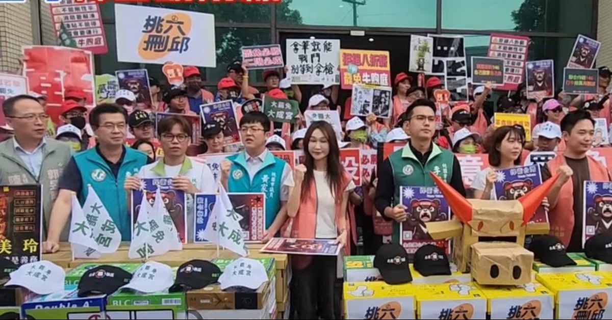 桃園三區罷免團體聯合送件，對象包括國民黨立委牛煦庭、萬美玲及邱若華，二階連署全數跨過門檻。（圖／東森新聞）