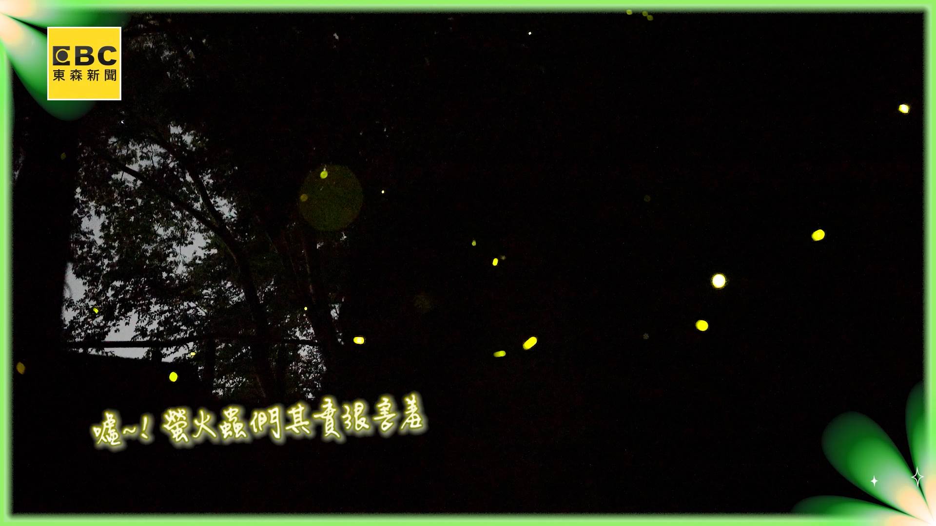 sot_嘉義螢火蟲_ACOPY (2).00_01_37_17.Still002