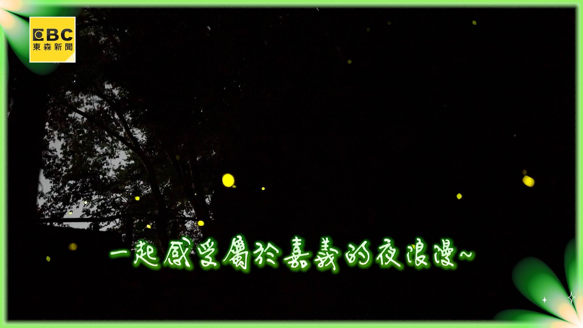 sot_嘉義螢火蟲_ACOPY (2).00_03_06_05.Still003