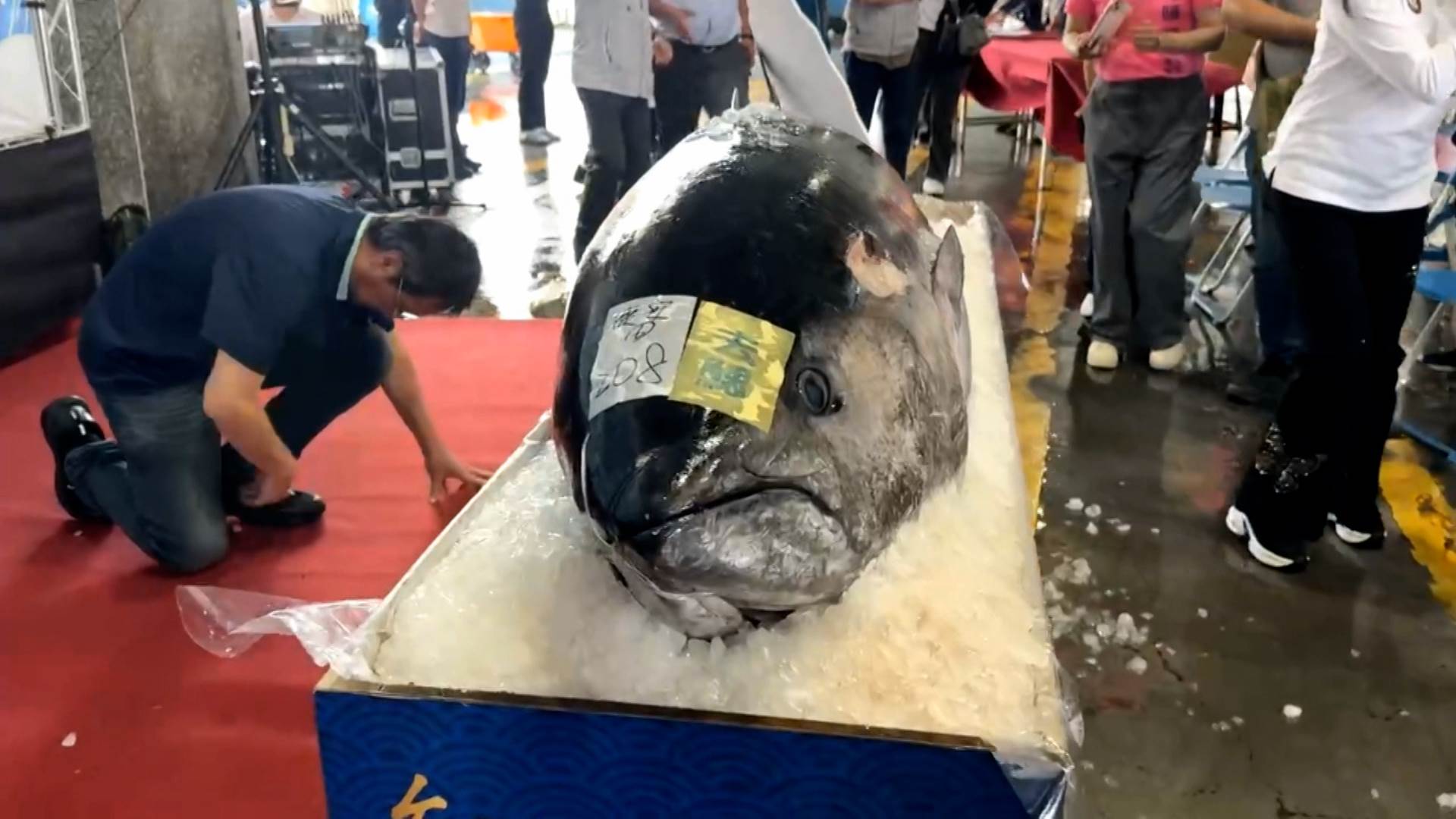 20250505-291-J1.mxf.01_00_35_03.Still003