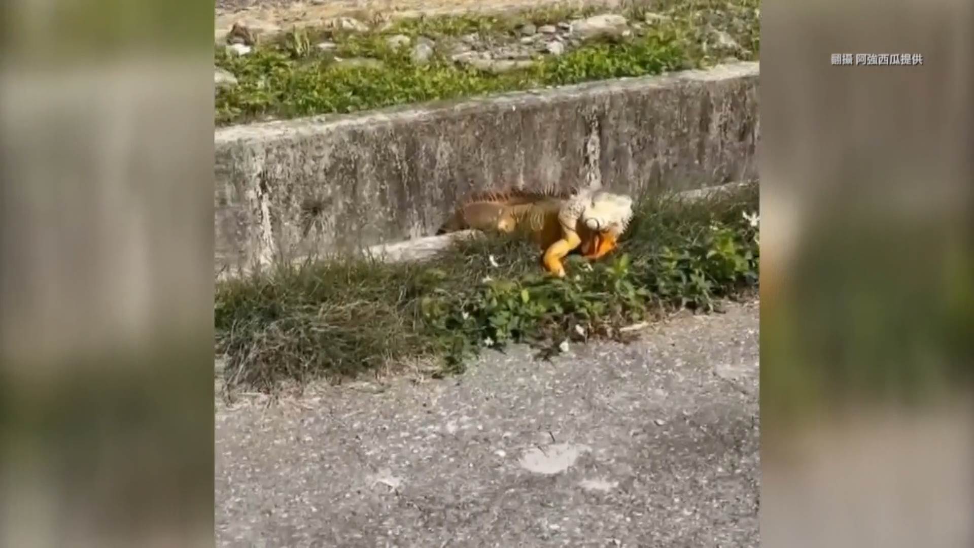 #1_Channel 3---2025_05_08---11_52_48---H264  8 bit---270---split001.mp4_snapshot_06.07.806