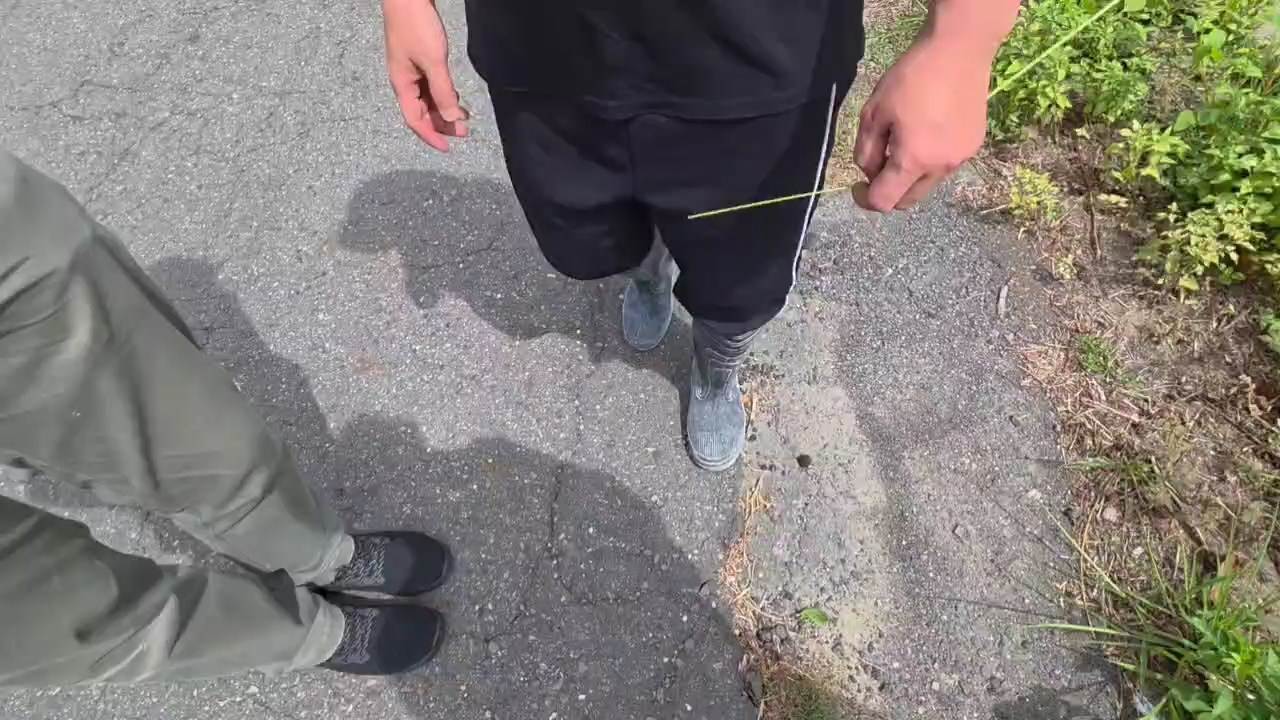 122f0a9e-f389-4cfe-9e3a-433c9e168b09.mp4_snapshot_00.13.033