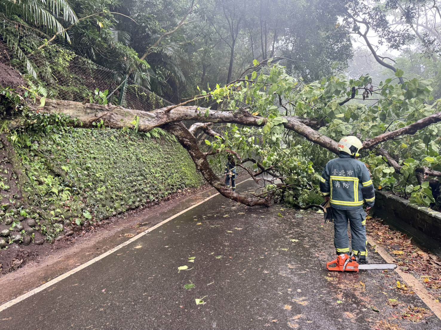 _1_channel_3---2025_05_10---07_00_40---h264__8_bit---287---split001.mp4_snapshot_02.46.548