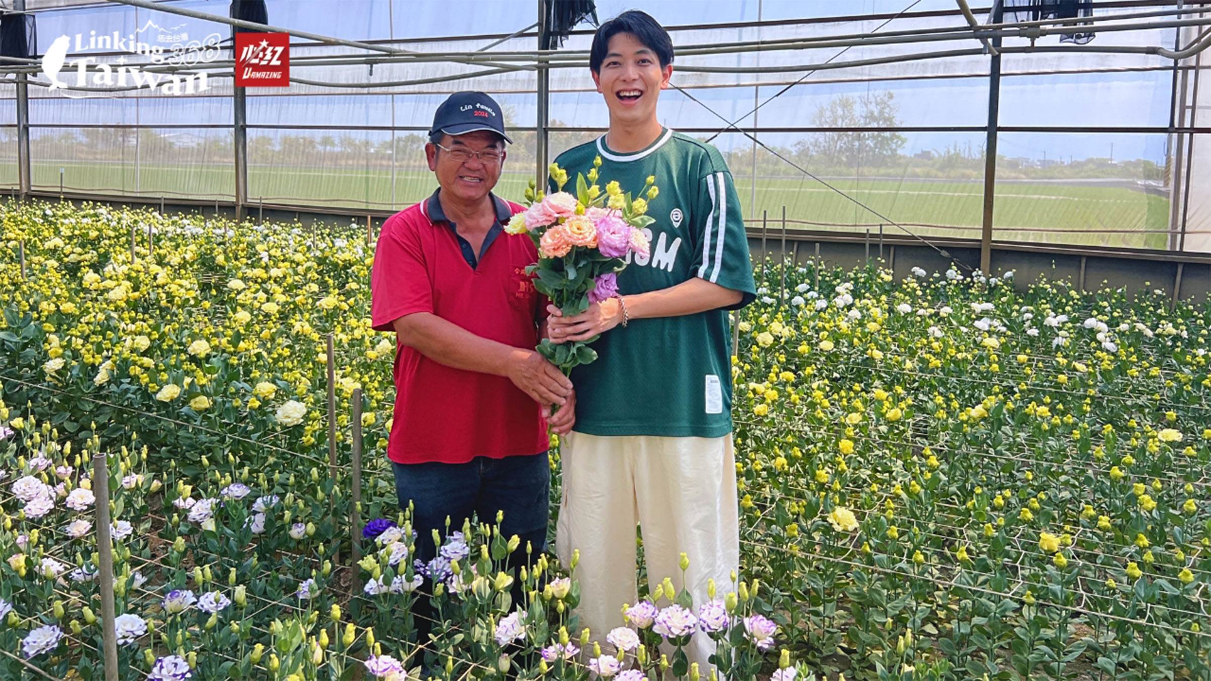 洋桔梗，又被稱作媽祖花，每年11月中到隔年4月初，就是新港洋桔梗盛開的日子，也是出貨到日本的高峰期，曾經為臺灣創造兩千萬的產值。（圖／《恁去台灣》提供）
