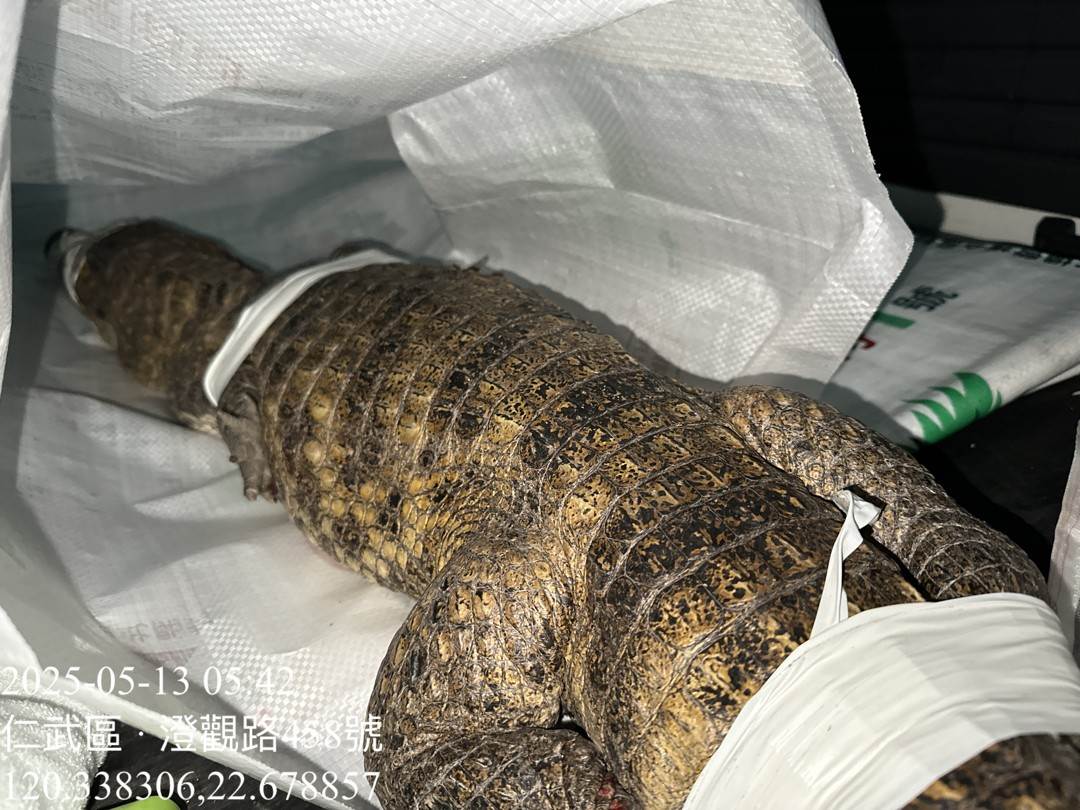 messageImage_1747102541209