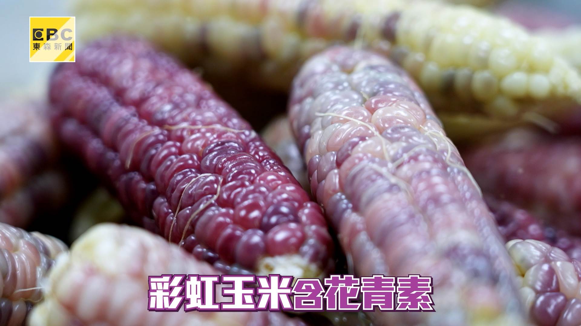 20250508 彩虹玉米 A2copy (2).00_02_32_11.Still008