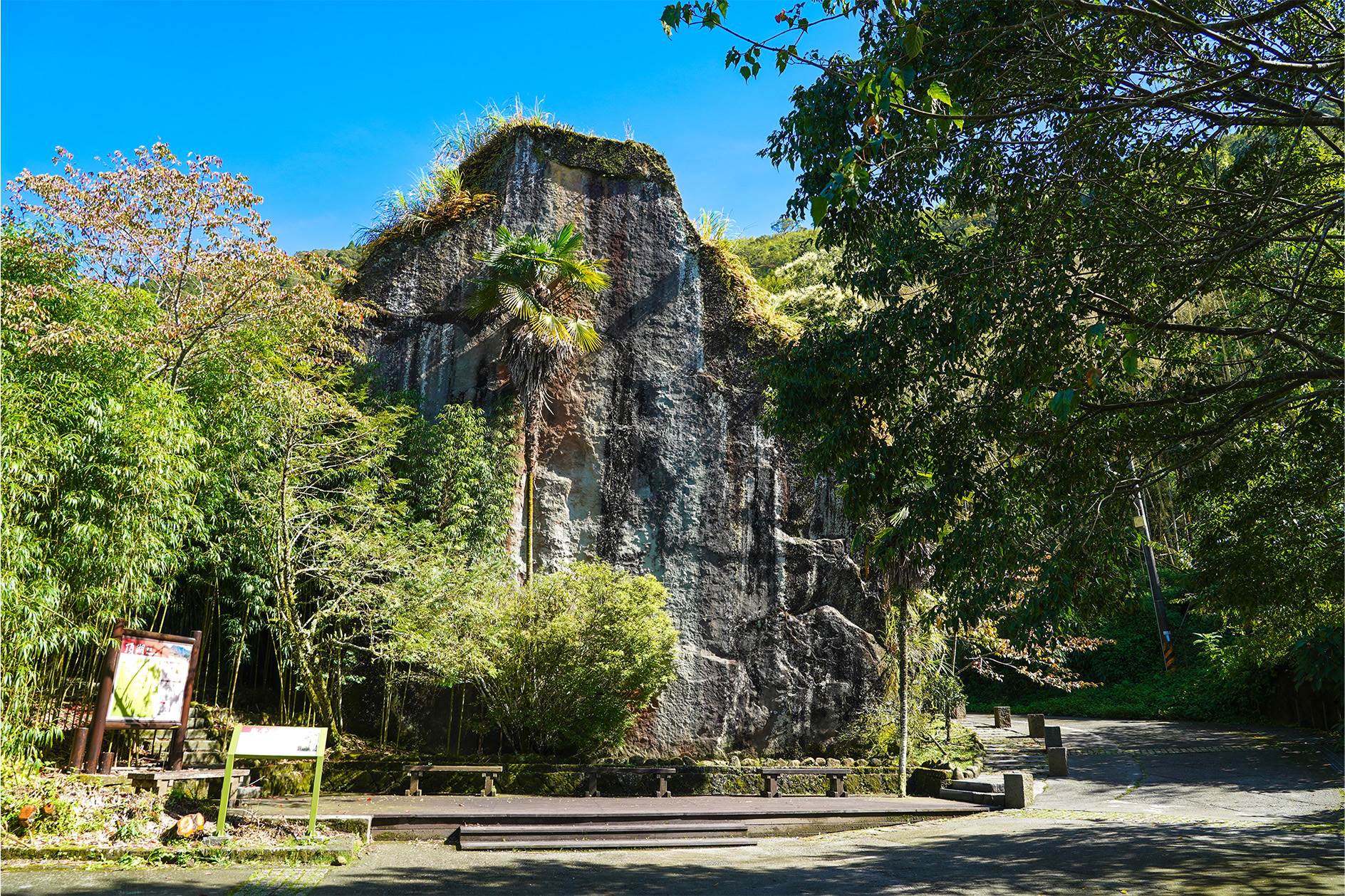 頂湖步道。（圖／嘉義縣文化觀光局提供）