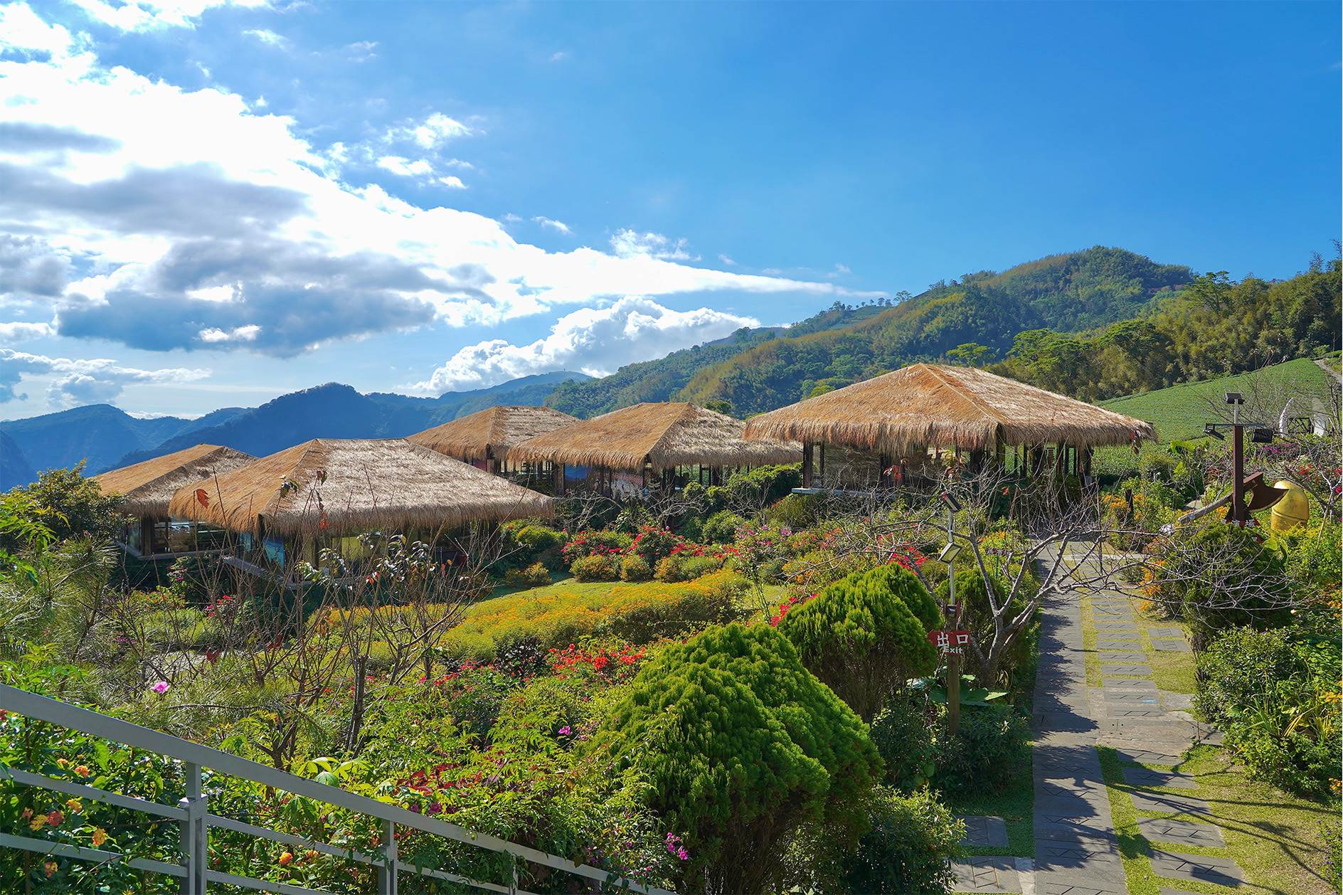 優遊吧斯。（圖／嘉義縣文化觀光局提供）