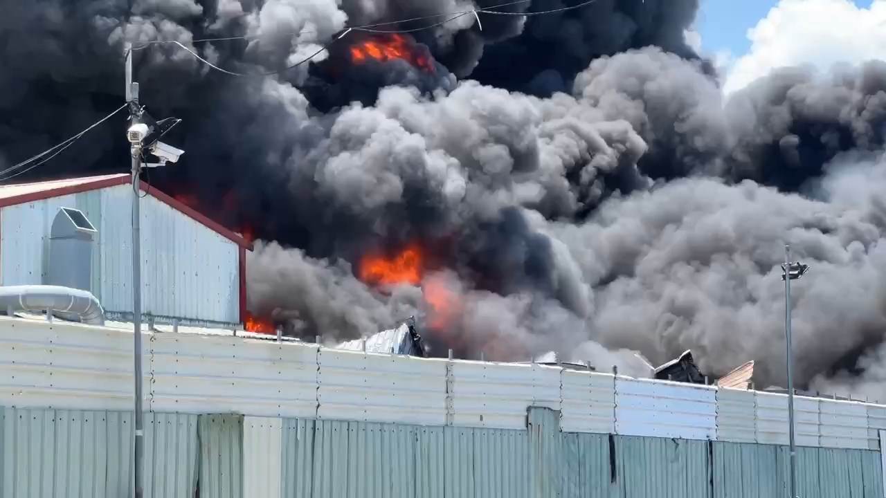 769662595.687115.mp4_snapshot_00.00.901