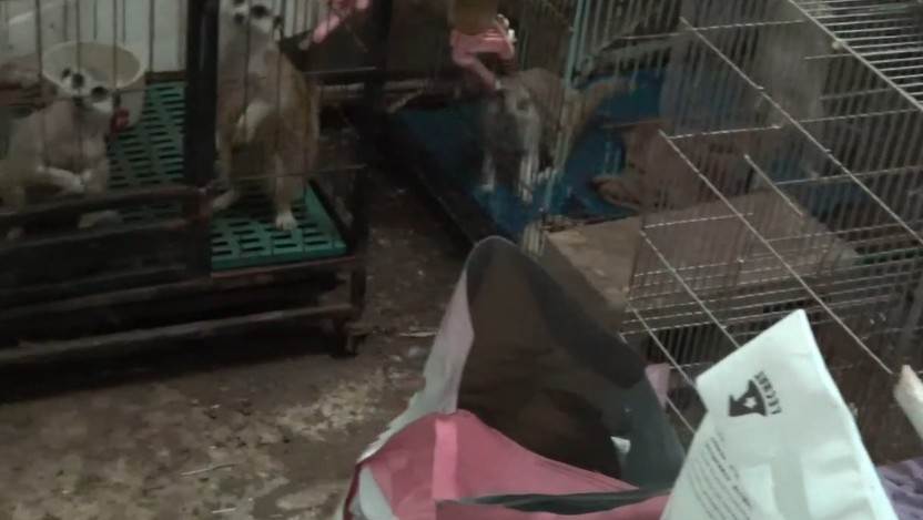 螢幕擷取畫面 2025-05-27 115226