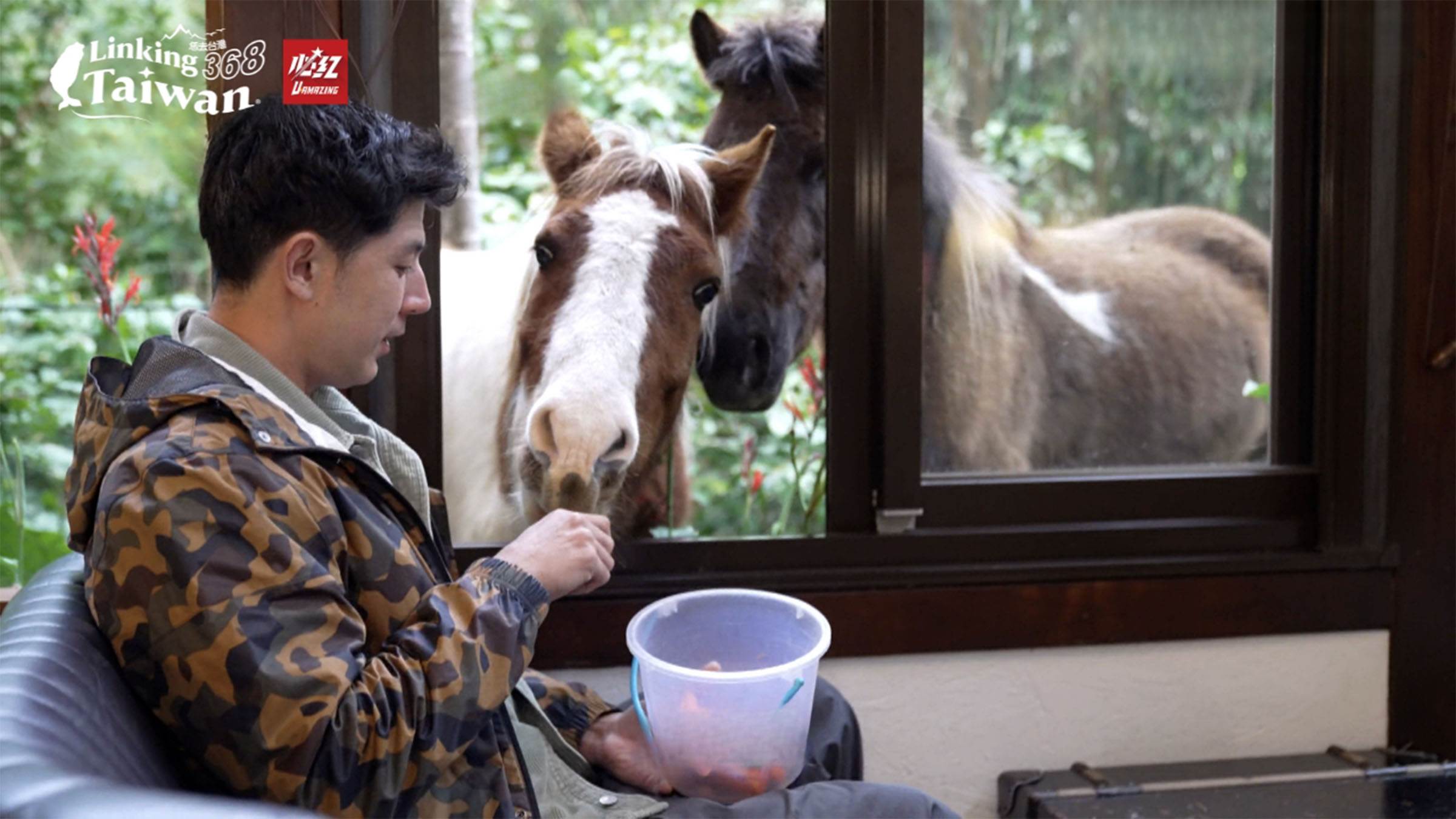 南非肯亞有長頸鹿民宿莊園，長頸鹿每天會探頭進來和遊客吃早餐，在這裡有馬兒民宿，馬兒也會探頭進來，和遊客互動耶！（圖／《恁去台灣》提供）