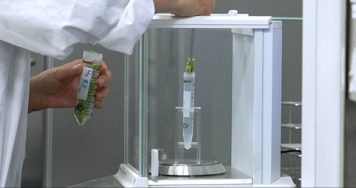 ▲透過化學檢驗確保品質,讓消費者吃得更安心。