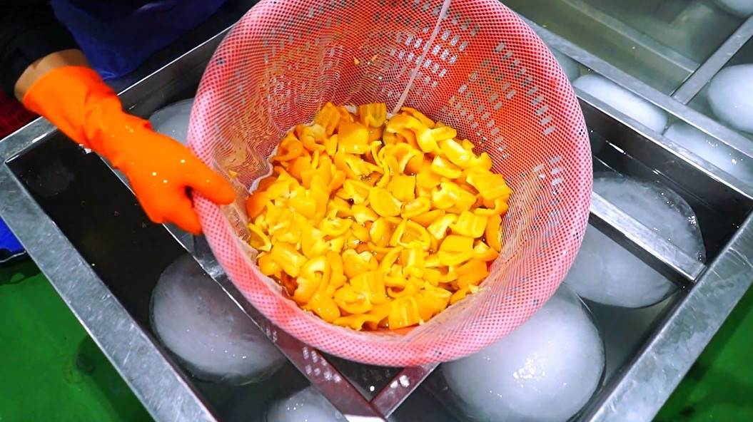 ▲維持適當溫度清洗,保持蔬菜鮮嫩脆口品質。