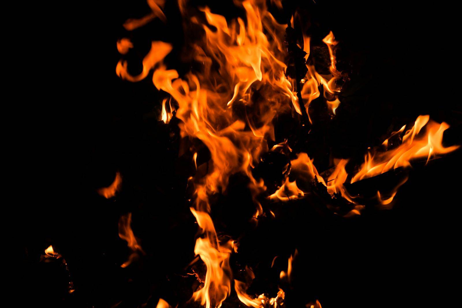 pexels-vijay-vinoth-701046-1546070