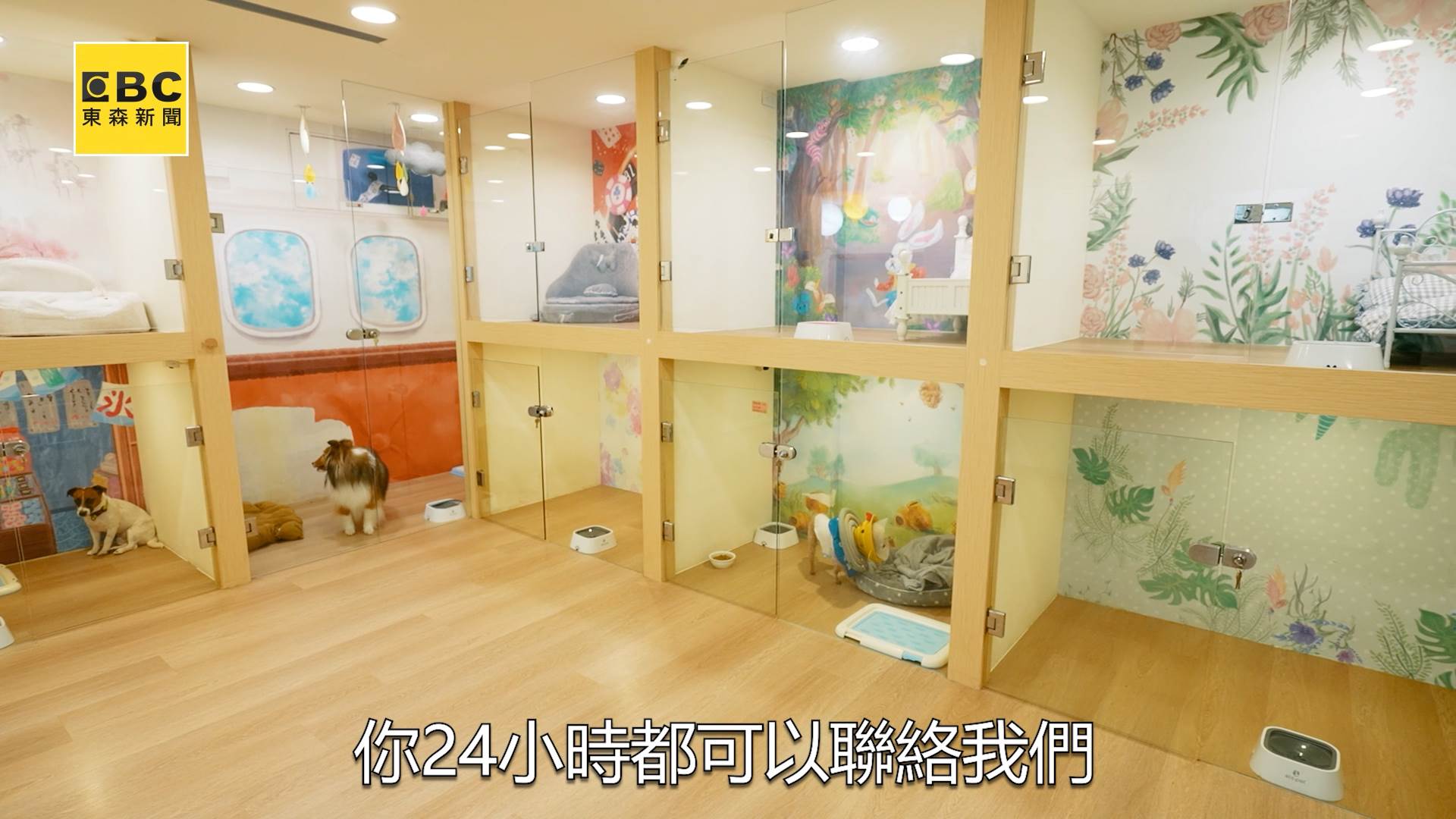 A70120240727_0006.00_05_18_07.Still013