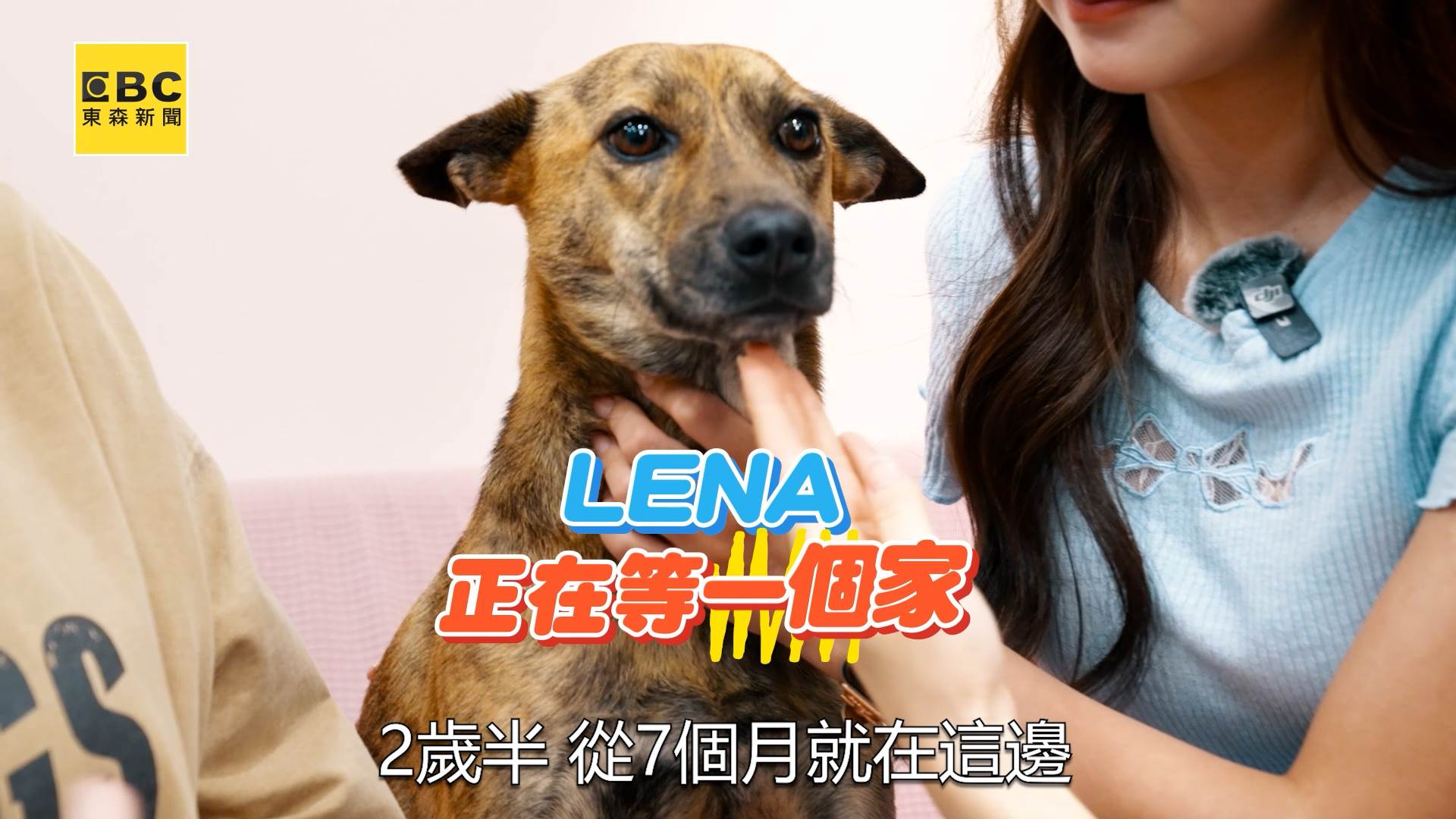 A70120240727_0006.00_05_47_17.Still011