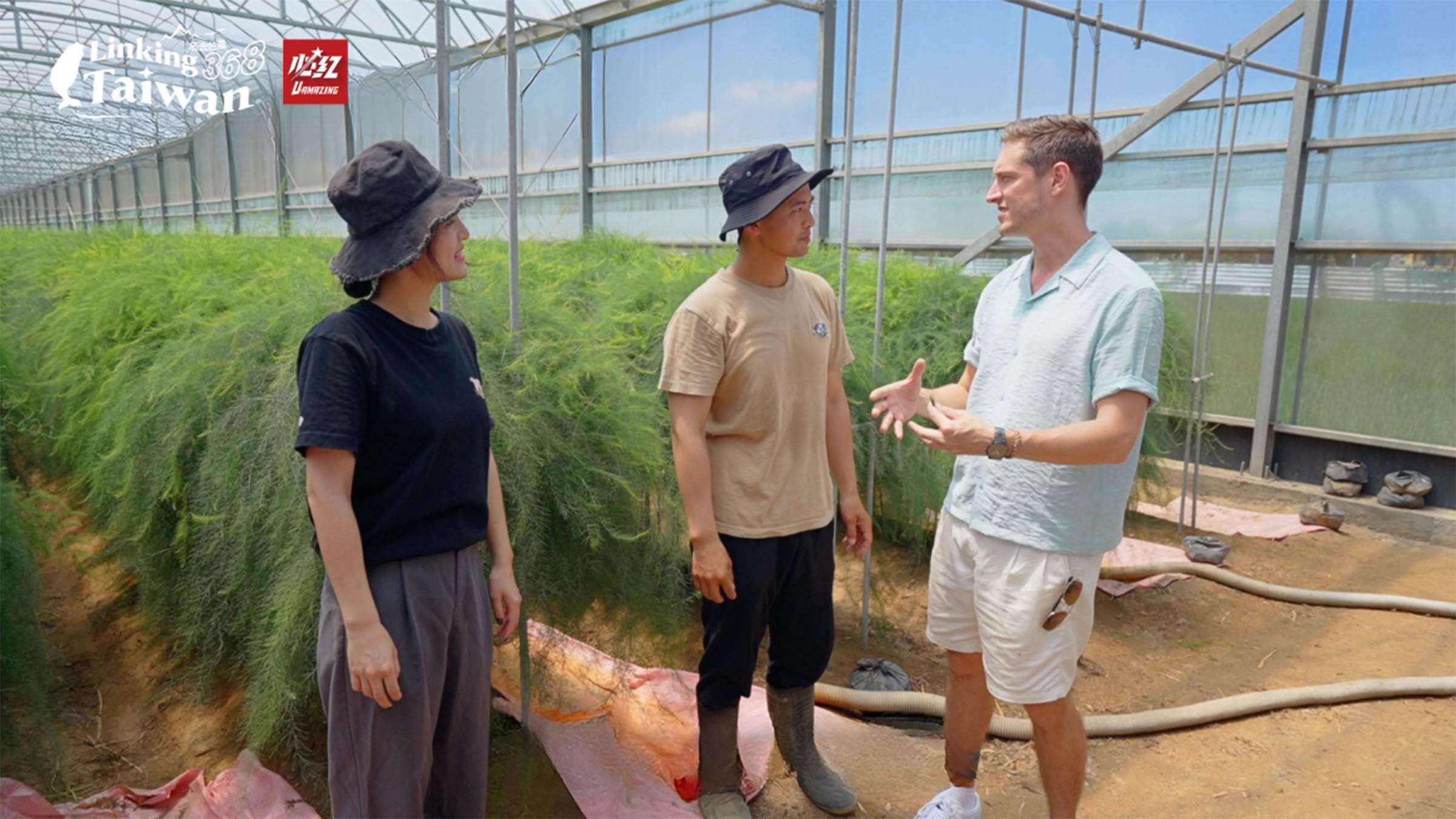 三兄妹返鄉接手阿公的農地，一家人用心灌溉的不只是蘆筍，更是對土地的情感與傳承。（圖／《Linking 368 Taiwan <a href='/search/tags/恁去台灣/' target='_blank'>恁去台灣</a>》提供）