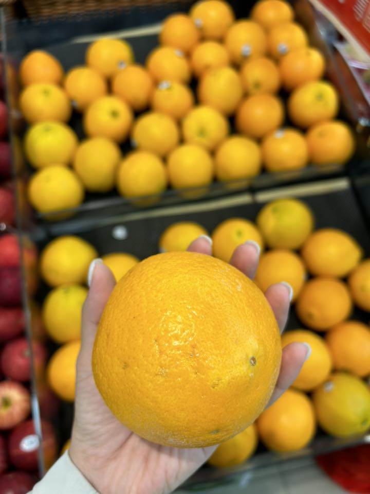 500969586_24580317401558476_3168731781812982398_n