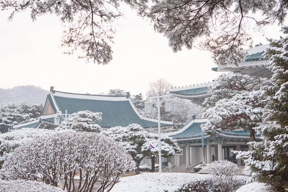 青瓦台開放後成為首爾熱門旅遊景點。翻攝開放青瓦台網站