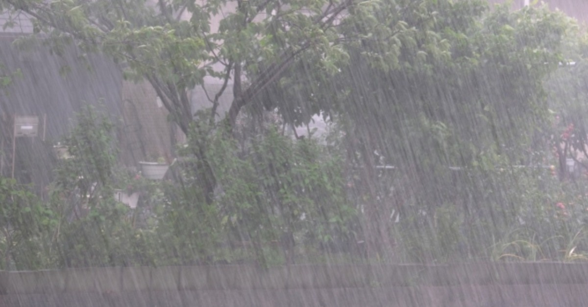 今年首颱「蝴蝶」最快下週生成。（示意圖／photoAC）