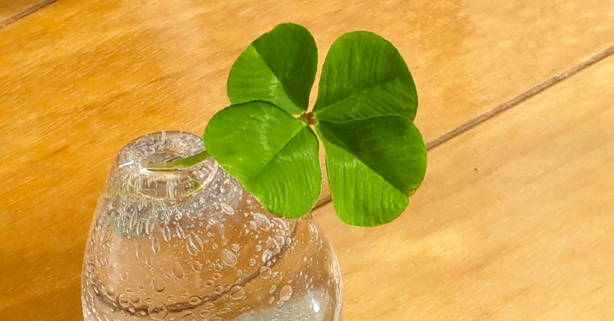 4生肖將在未來一週迎來好運。（示意圖／photoAC）