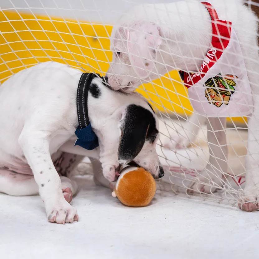 messageImage_1749269322661