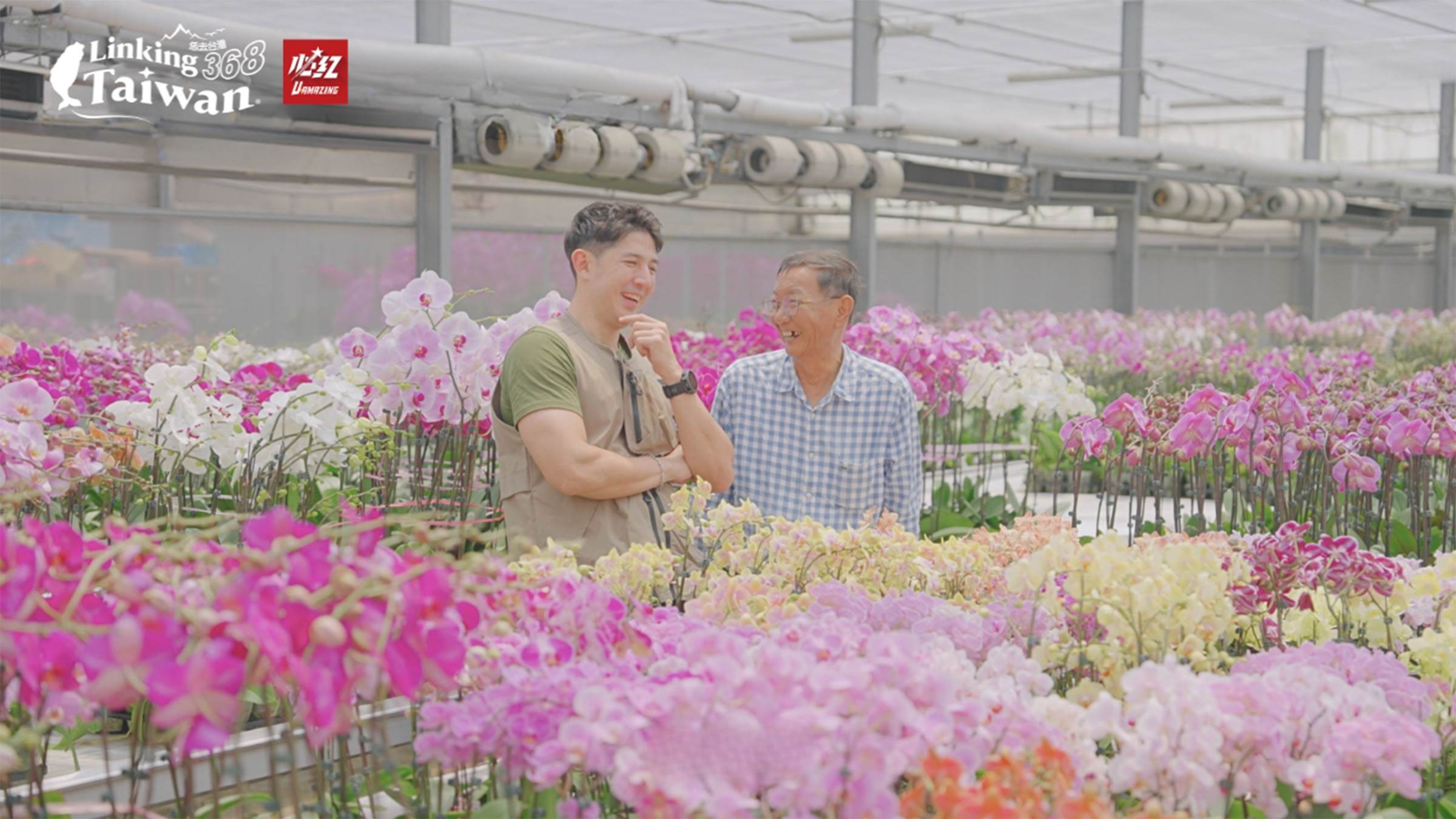 蝴蝶蘭是高經濟價值作物,在種植過程中,很講究環境控制技術,溫度、光度、濕度、通風的控制,都需要專業及長年累月的經驗。(圖/《恁去台灣》提供)