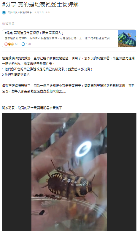 註解 2025-06-10 111832