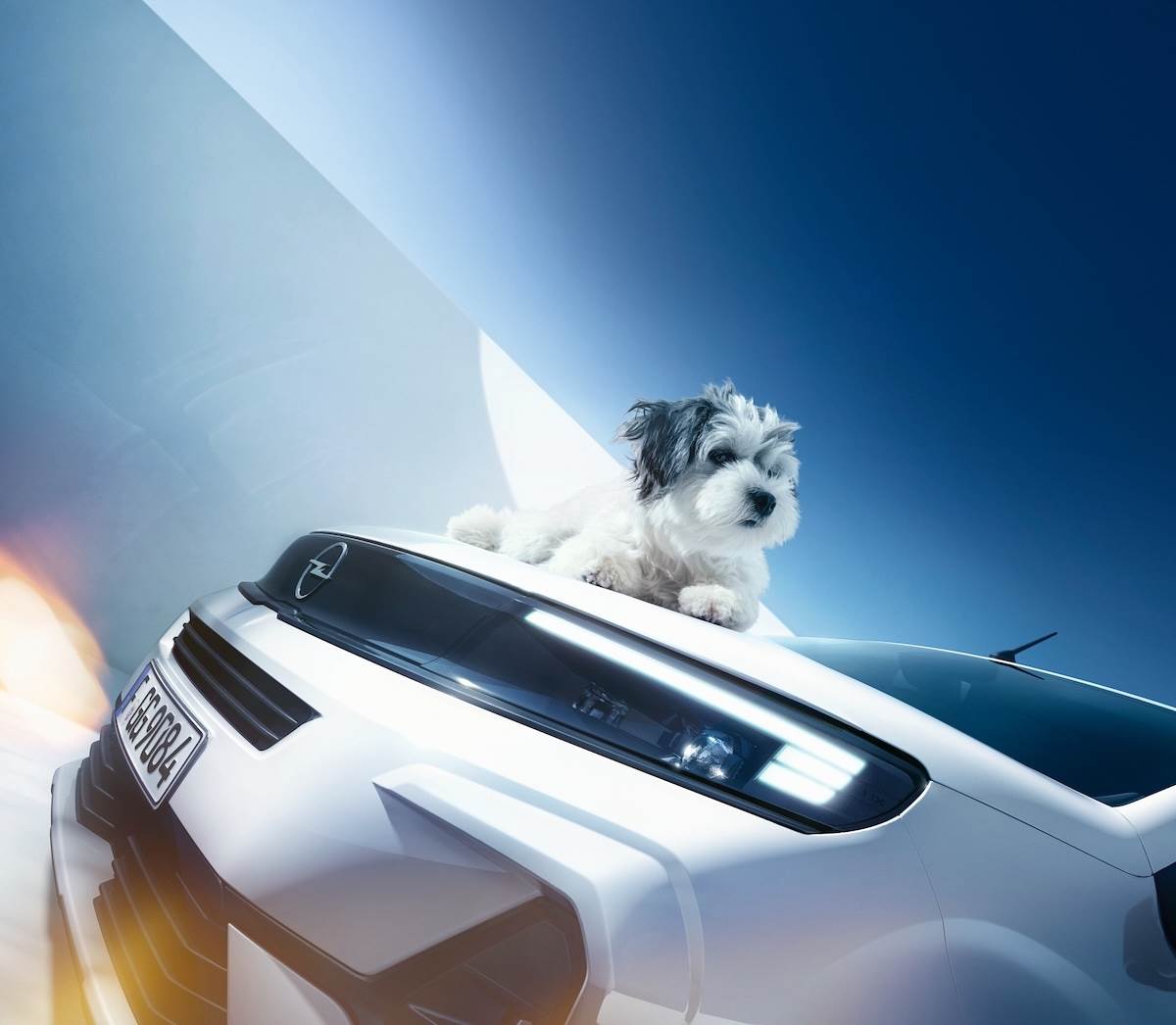 配備Intelli-Lux LED矩陣式頭燈,搭配兩側烤漆防護板以及車身同色前後保桿,加上新世代獨特的品牌識別VIZOR閃電風鏡。(圖/歐吉汽車提供)