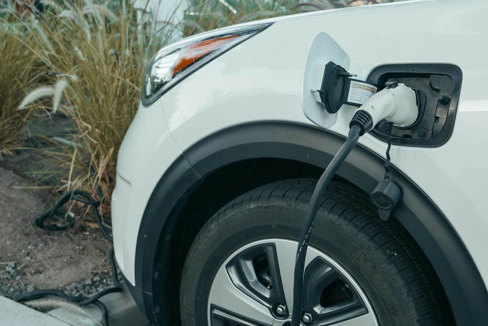 pexels-kindelmedia-9799999