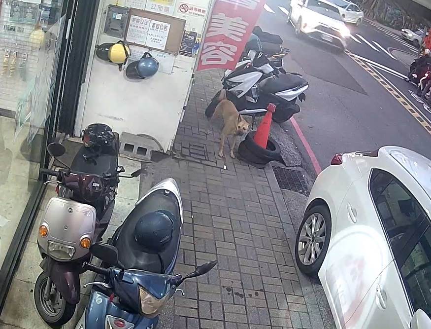 斥責後露出一臉無辜樣。