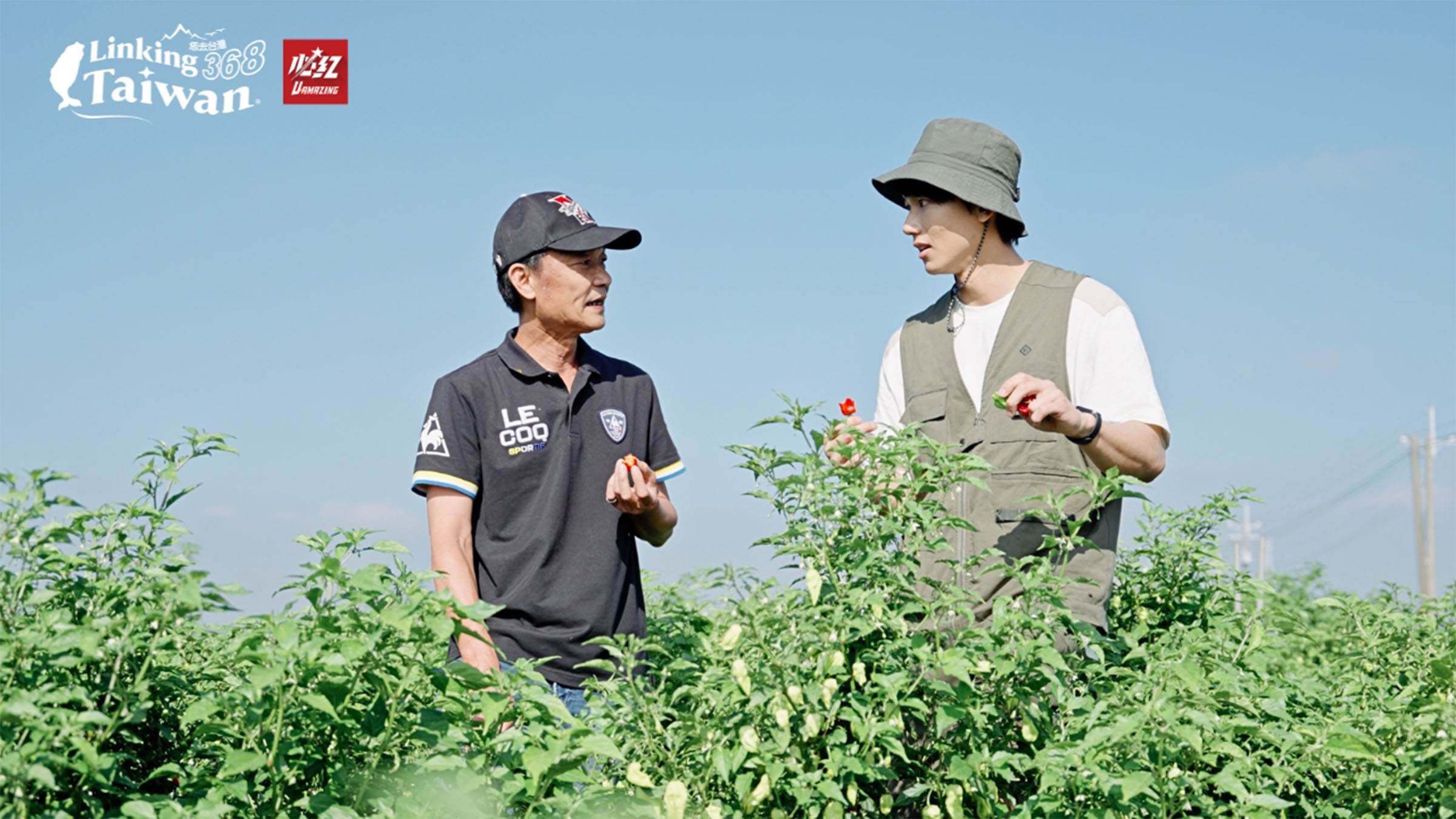 印度鬼椒，辣度超過70萬史高維爾單位（SHU），在辣椒界可是實力派的狠角色！（圖／《Linking 368 Taiwan 恁去台灣》提供）